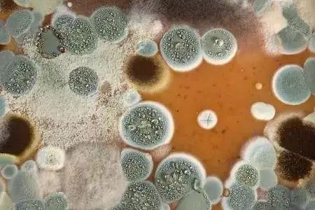 梅雨季节家里怎么除湿除霉小妙招,杭州梅雨季节防潮怎么处理