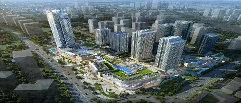 day9,day9的价目表