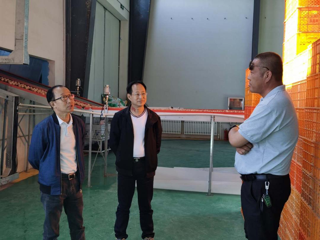 富硒农业技术推广,富硒有机农业开发