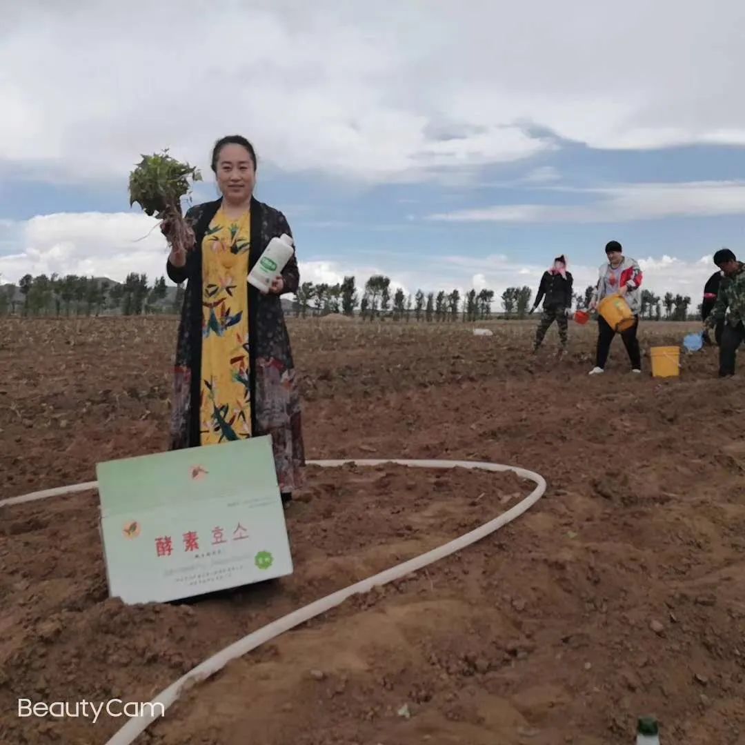 富硒农业技术推广,富硒有机农业开发