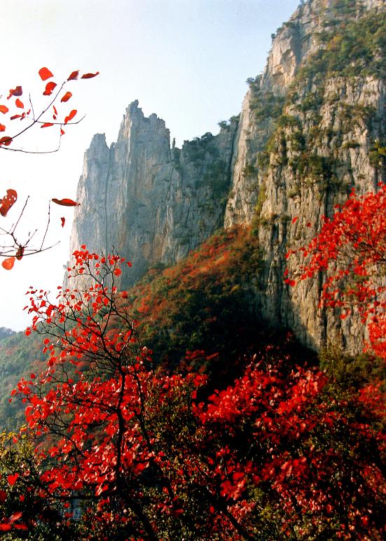 鐤幓鑺卞紑浜洪棿鐨嗗畨,鐤幓鑺卞紑鍐呭