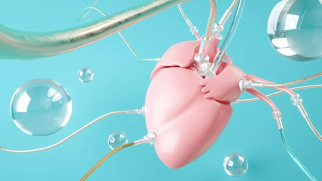 健康|“心律不齐”到底要不要治疗?这一次跟你说明白