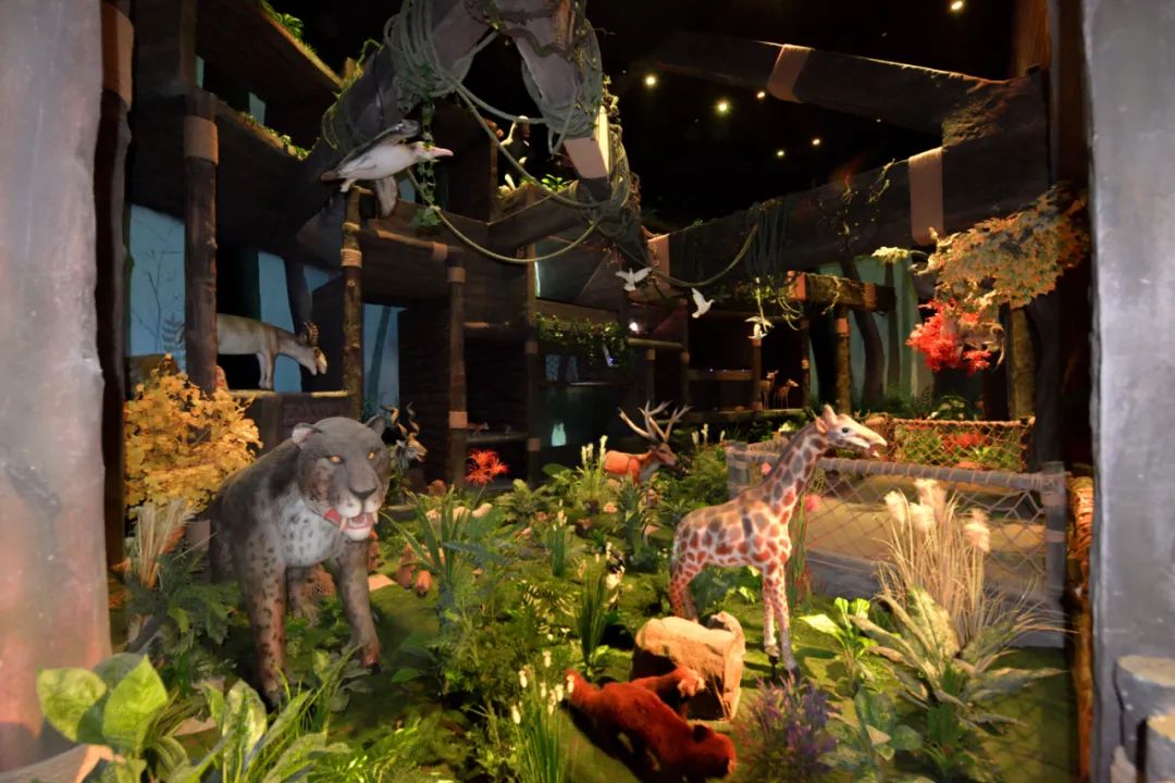 打卡安华汇欢乐舟主题公园,安华汇欢乐舟主题乐园真实视频