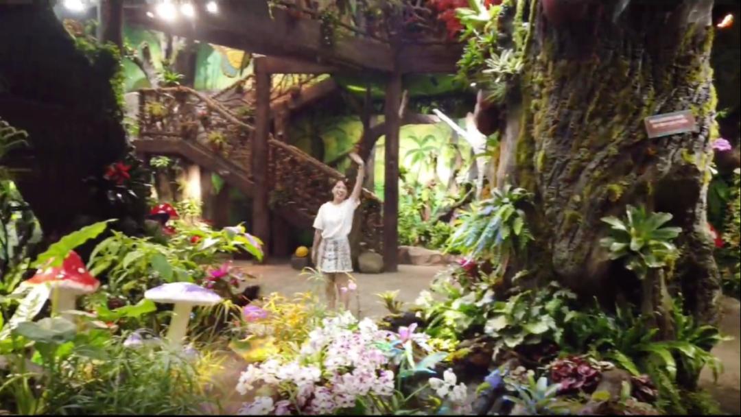 打卡安华汇欢乐舟主题公园,安华汇欢乐舟主题乐园真实视频