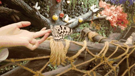 打卡安华汇欢乐舟主题公园,安华汇欢乐舟主题乐园真实视频