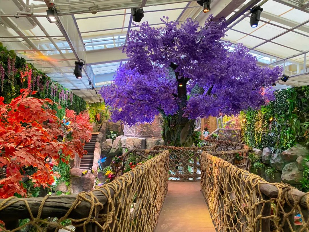 打卡安华汇欢乐舟主题公园,安华汇欢乐舟主题乐园真实视频