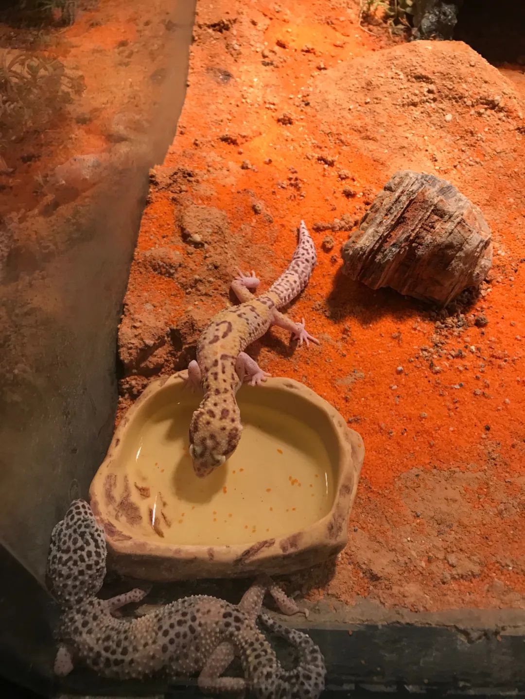 打卡安华汇欢乐舟主题公园,安华汇欢乐舟主题乐园真实视频