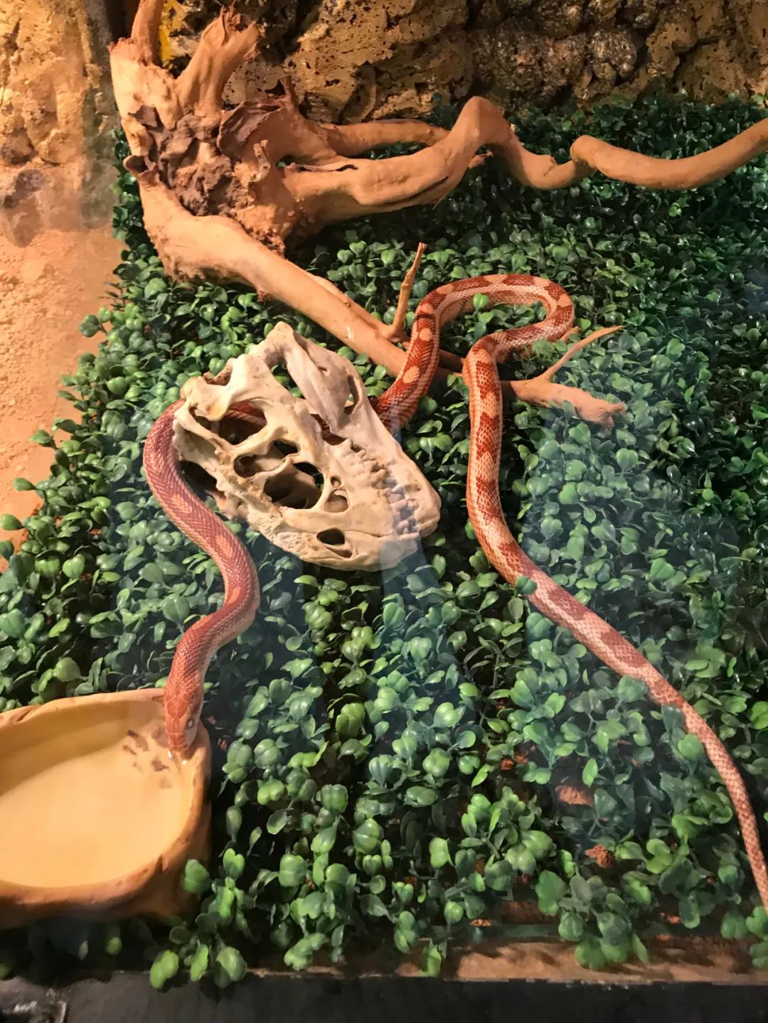 打卡安华汇欢乐舟主题公园,安华汇欢乐舟主题乐园真实视频