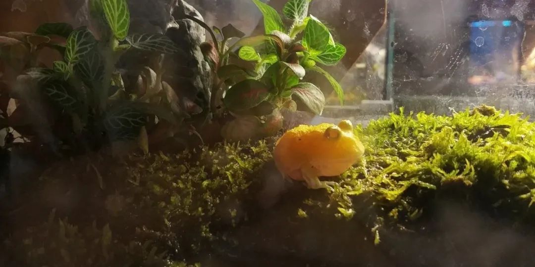 打卡安华汇欢乐舟主题公园,安华汇欢乐舟主题乐园真实视频