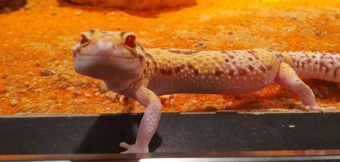 打卡安华汇欢乐舟主题公园,安华汇欢乐舟主题乐园真实视频