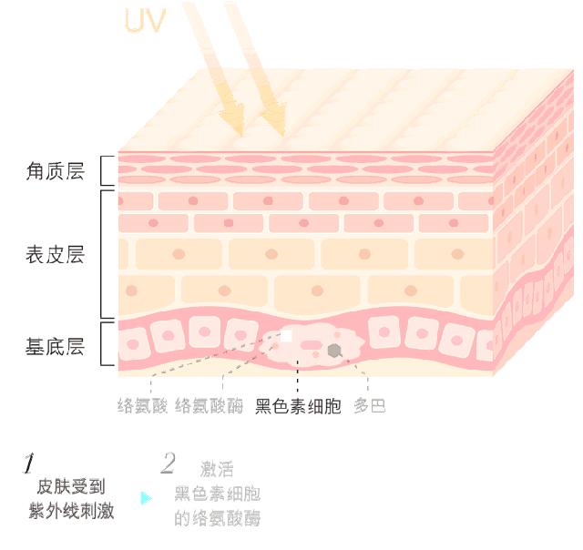 想好好过真的那么难吗,想白到发光有那么难吗
