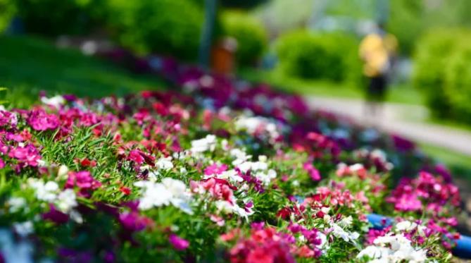 六一去哪里玩最好吉林,长春六一游玩好去处