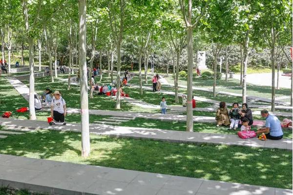 郑州适合拍照的十大网红打卡地,郑州旅游网红打卡地点推荐