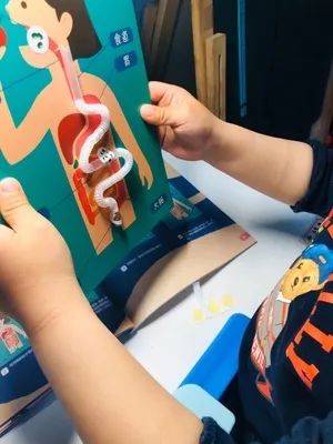 六一儿童节男孩子最喜欢什么玩具,六一儿童节的熊猫娃娃玩具礼物