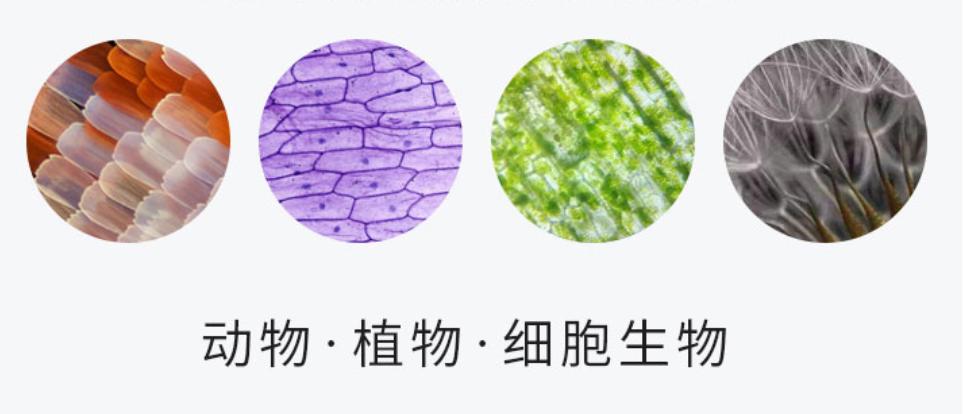 六一儿童节男孩子最喜欢什么玩具,六一儿童节的熊猫娃娃玩具礼物