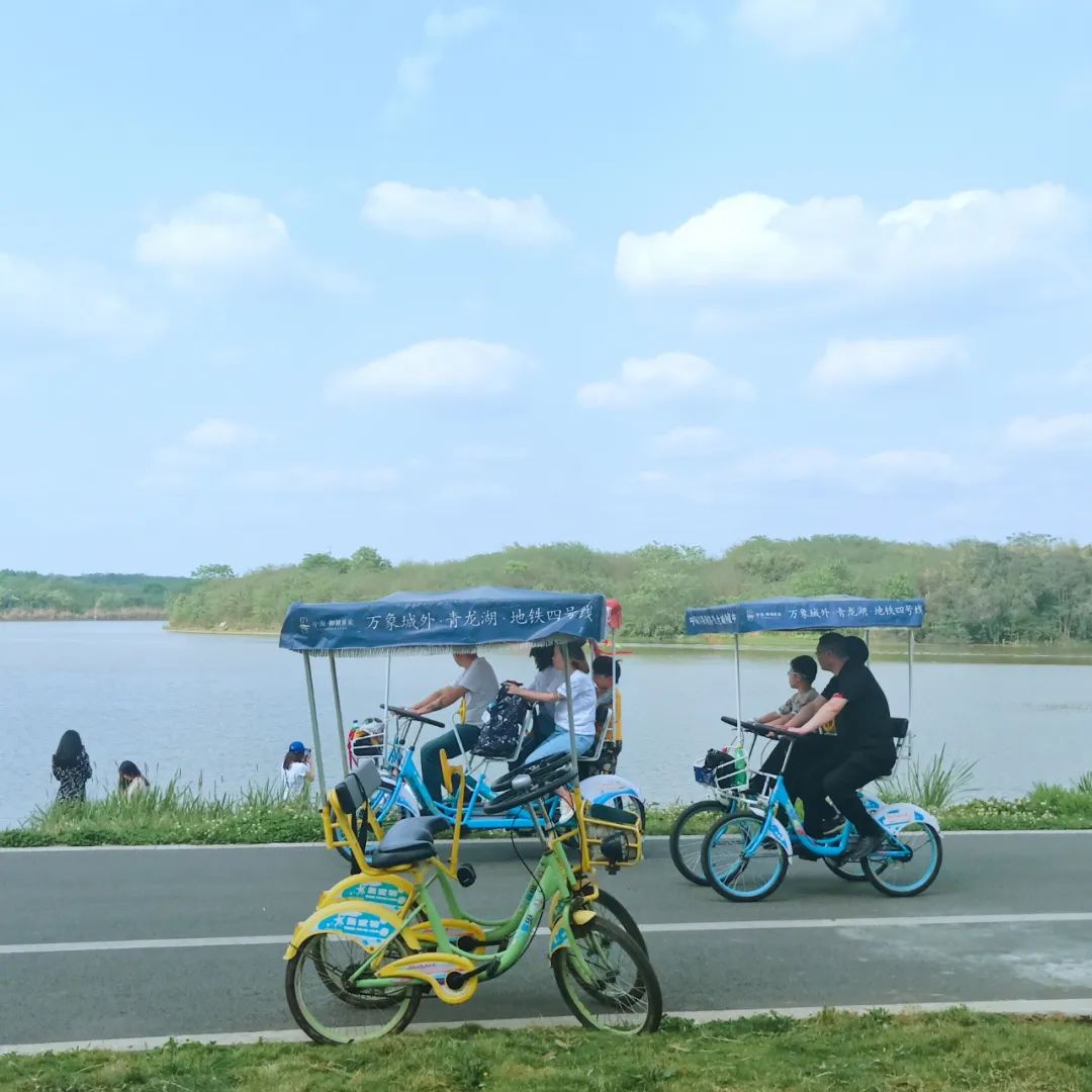 成都冷知识你不知道的华阳,成都冷知识有趣