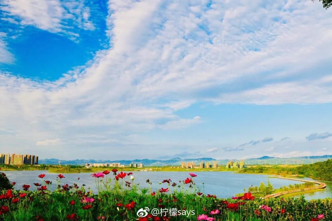 成都冷知识你不知道的华阳,成都冷知识有趣