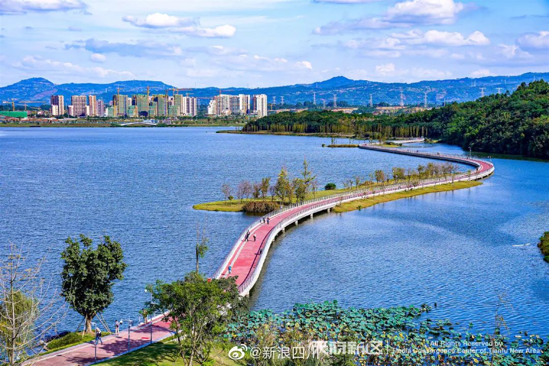 成都冷知识你不知道的华阳,成都冷知识有趣