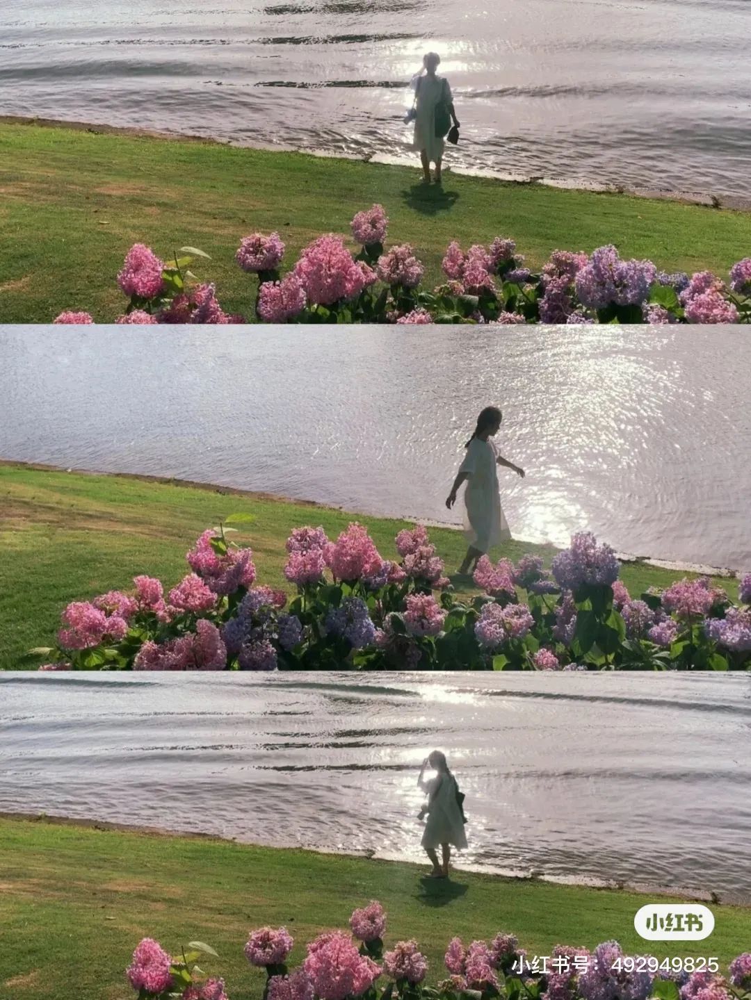 成都冷知识你不知道的华阳,成都冷知识有趣