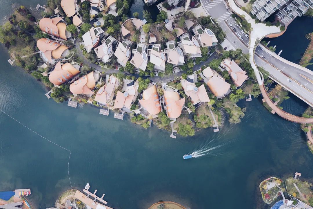 成都冷知识你不知道的华阳,成都冷知识有趣