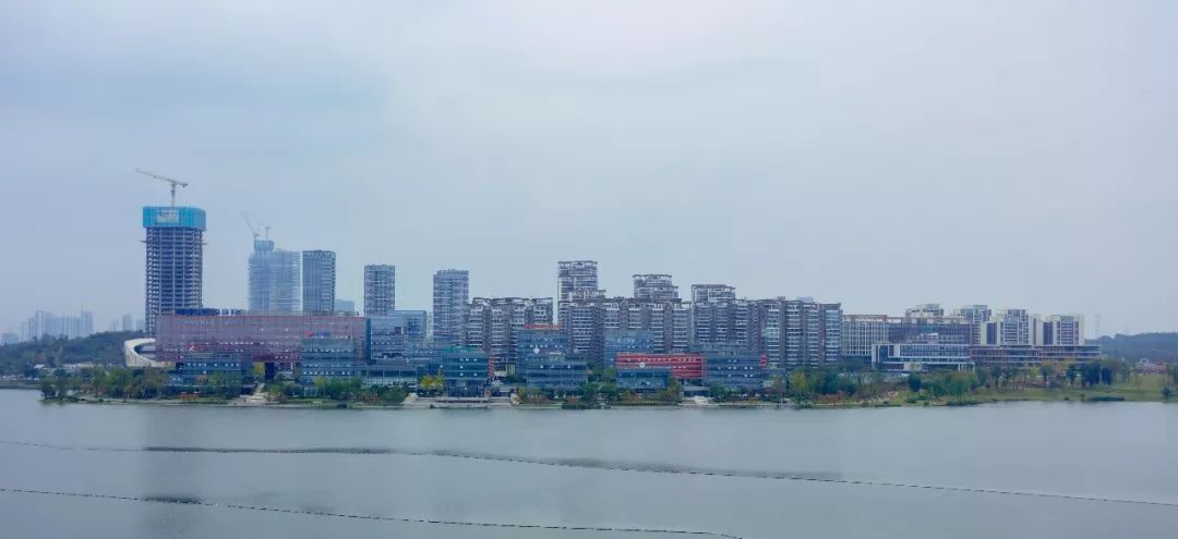 成都冷知识你不知道的华阳,成都冷知识有趣