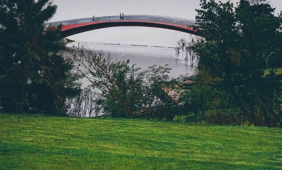 成都冷知识你不知道的华阳,成都冷知识有趣