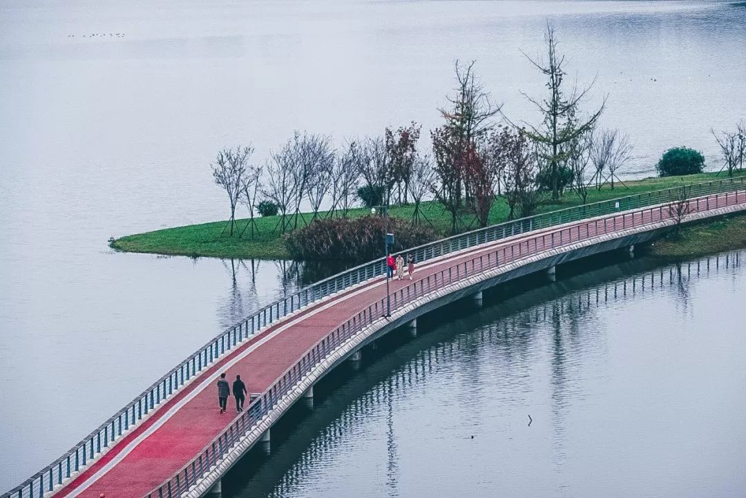 成都冷知识你不知道的华阳,成都冷知识有趣