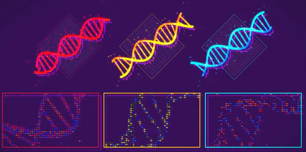 我只是坐在那里打游戏,就推动了科学发展。。。