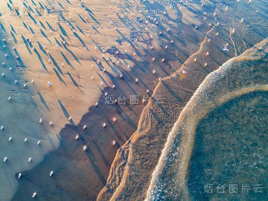 烟台宜居文明城市规划,宜居烟台全国第一