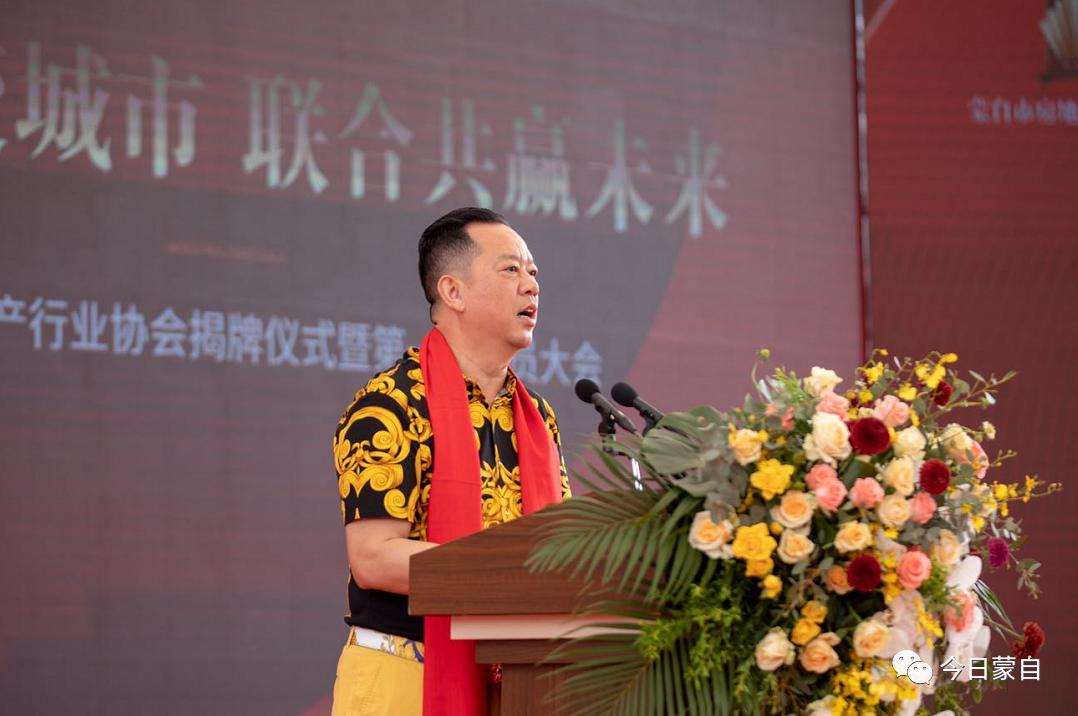 蒙自地产界大事件！蒙自市房地产行业协会挂牌成立～