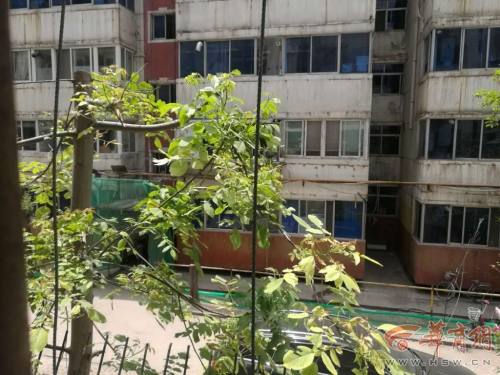 西安莲湖区老旧社区改造防护网,老旧小区改造防护网拆除文件