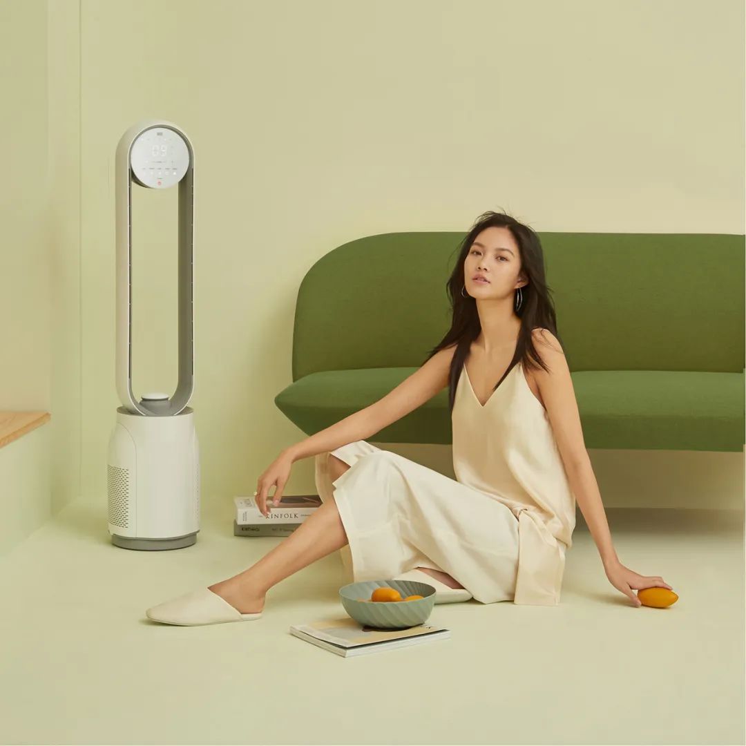 德国荣芝和戴森的无叶风扇哪个好,戴森无叶风扇为什么贵那么多