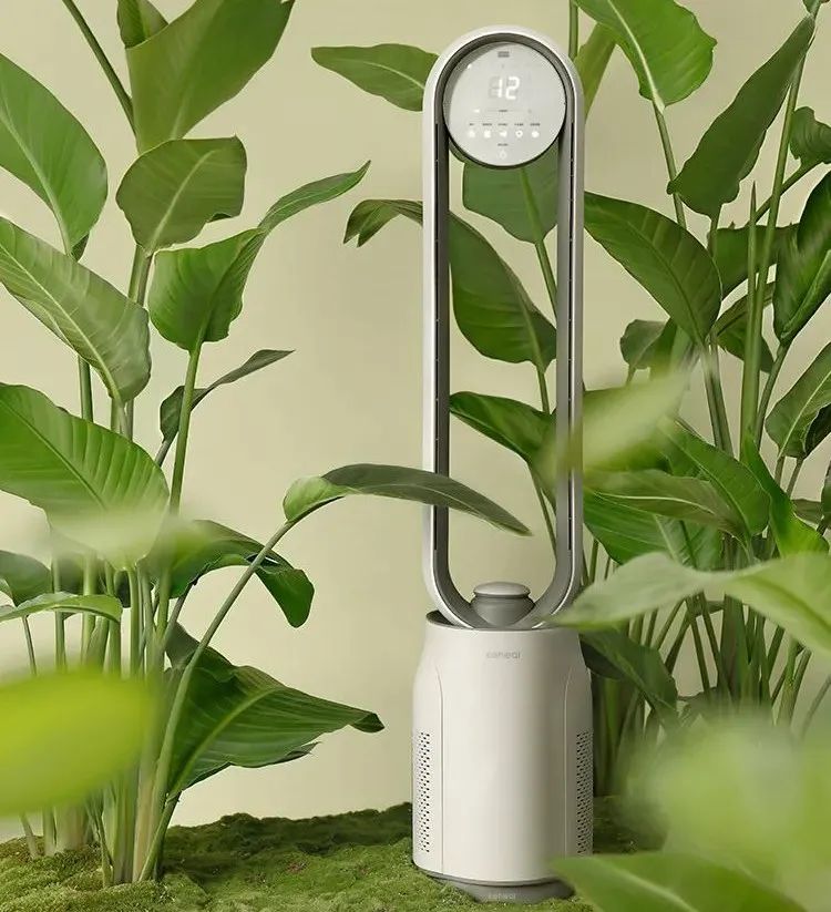 德国荣芝和戴森的无叶风扇哪个好,戴森无叶风扇为什么贵那么多