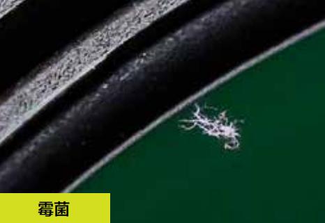 怎样保养机械相机,相机如何清洁和保养