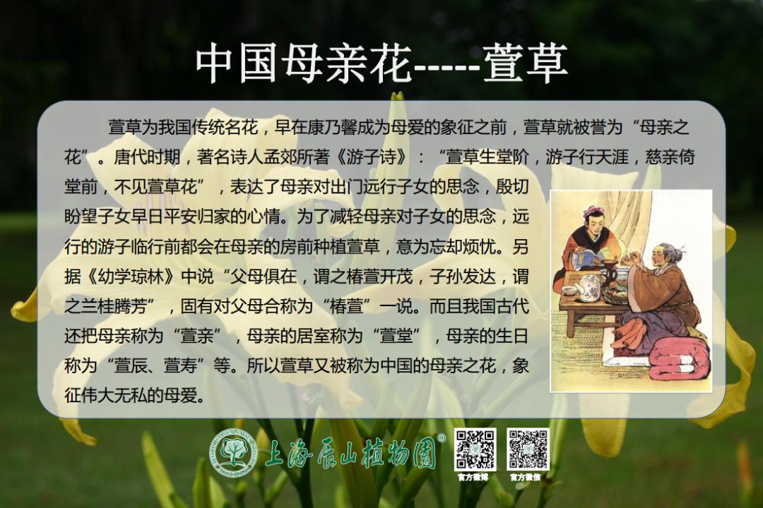 绝了，夏天一定请来这！松江要你眼“花”缭乱