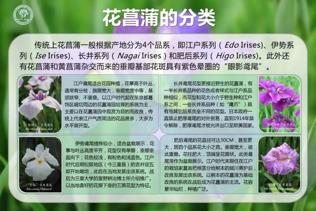 绝了，夏天一定请来这！松江要你眼“花”缭乱