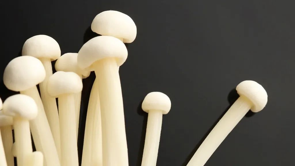 脸上长小肉揪揪用什么能抹下去,脸上长了能挤出来白色的东西