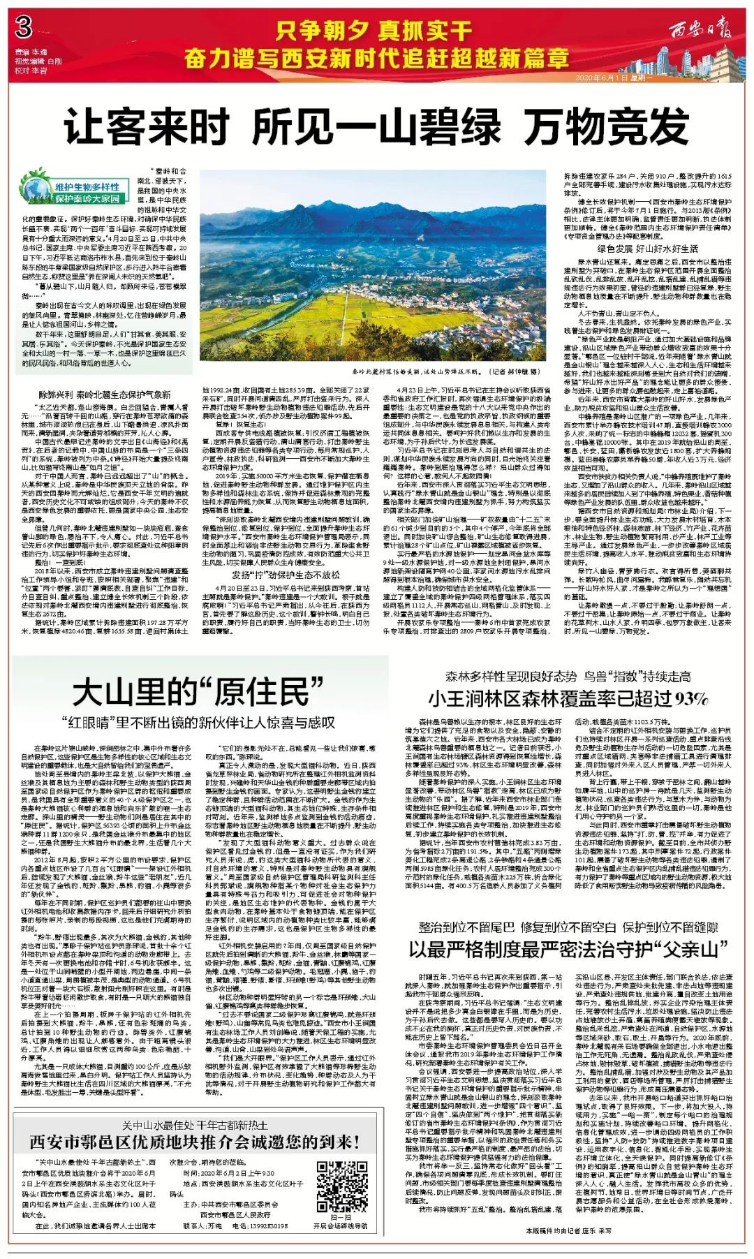 让客来时所见一山碧绿万物竞发