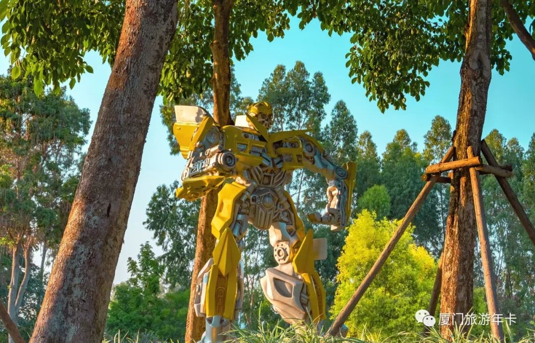 厦门最值得去的地方溜娃,厦门适合遛娃的免费地方