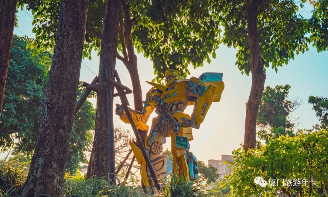 厦门最值得去的地方溜娃,厦门适合遛娃的免费地方