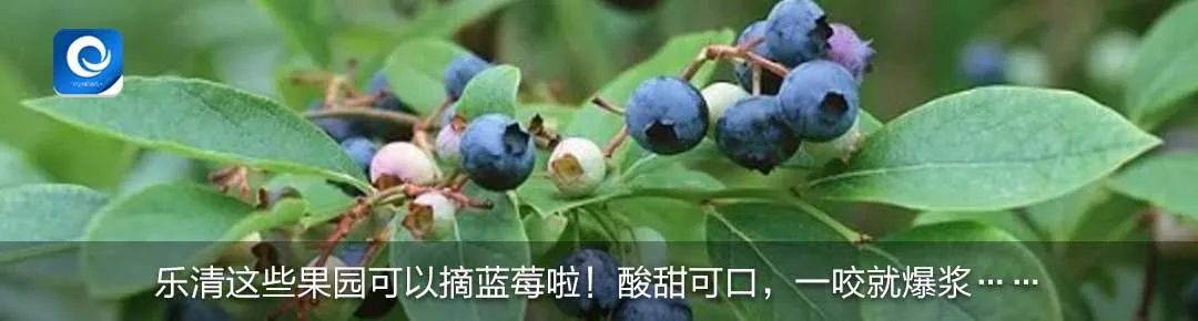 微信更改新微信号需要什么条件,微信的改动