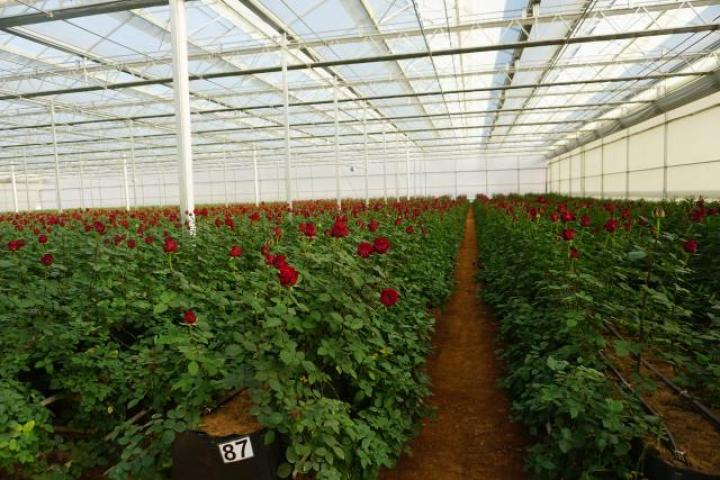 凝心聚力开新局砥砺奋进谋新篇ppt,月望村发展