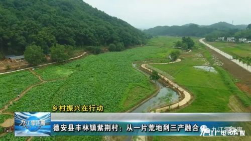 德安县丰林镇紫荆村,田间地头乡村振兴