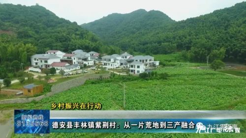 德安县丰林镇紫荆村,田间地头乡村振兴