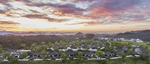 day9,day9的价目表