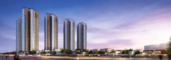 day9,day9的价目表