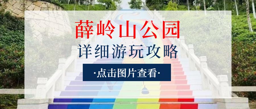 厦门最值得去的地方溜娃,厦门适合遛娃的免费地方