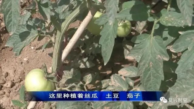 邯郸复兴区建设北小学,邯郸复兴区建设北小学怎么样