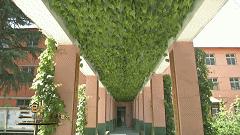 邯郸复兴区建设北小学,邯郸复兴区建设北小学怎么样