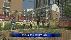 邯郸复兴区建设北小学,邯郸复兴区建设北小学怎么样